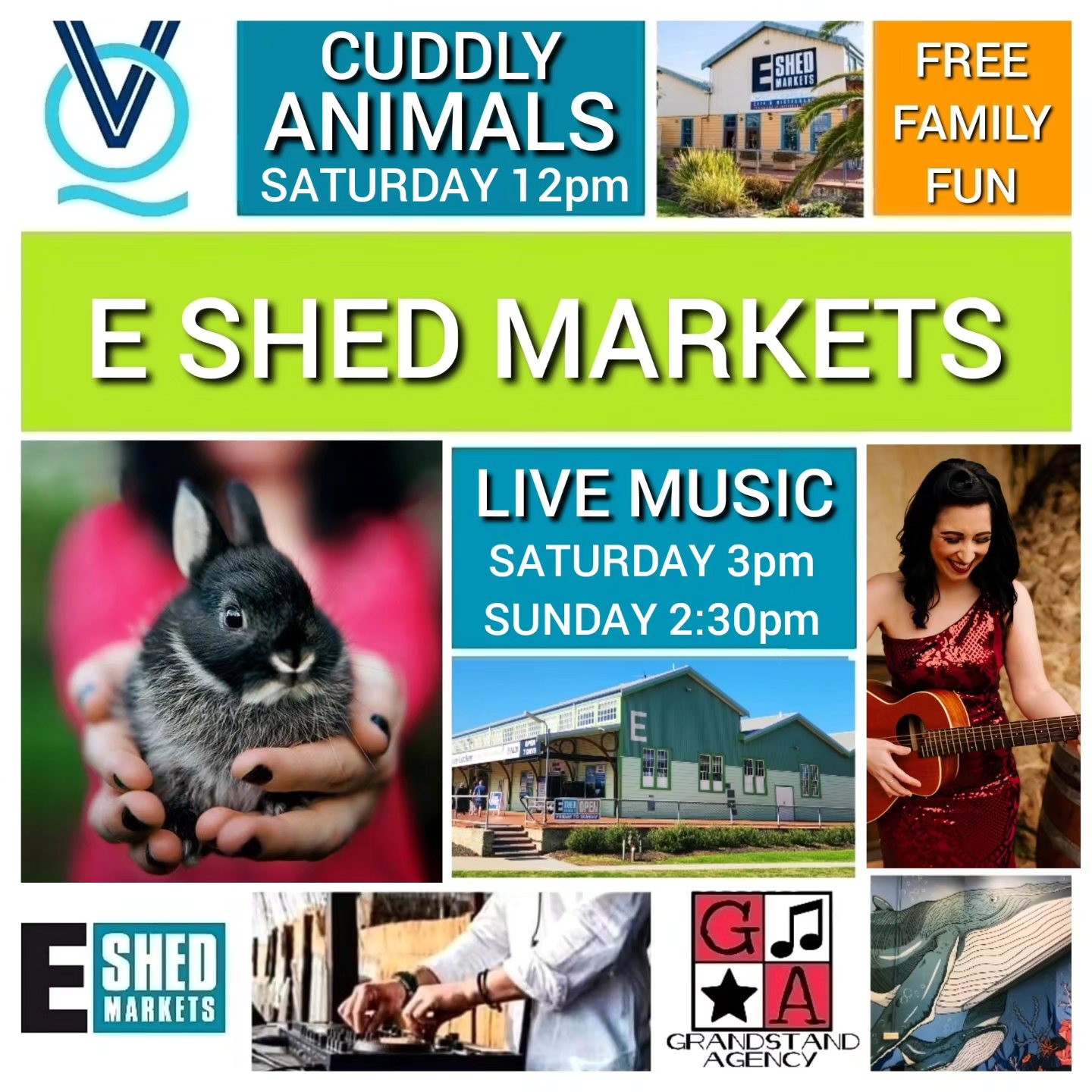 E Shed Markets