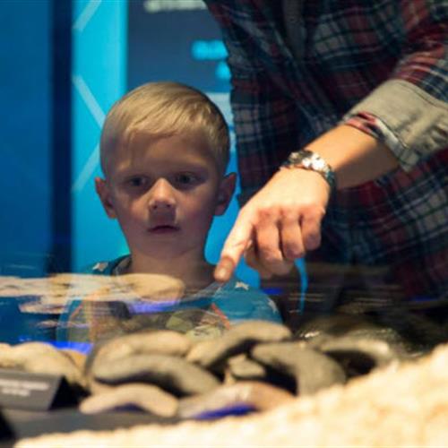 School holidays July 2019 School holidays July 2019